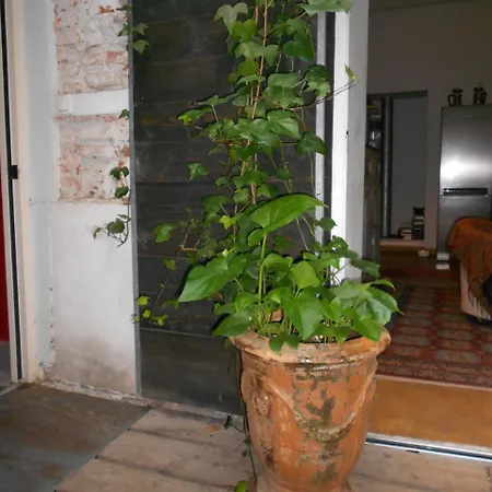 Frühstückspension Le Crocodile Rouge Perpignan