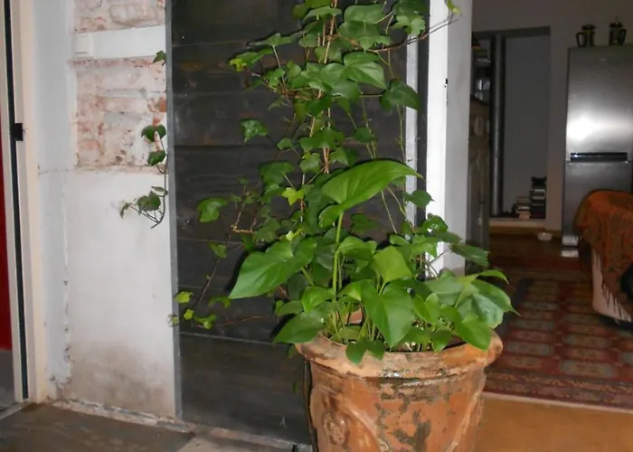 Bed & Breakfast Le Crocodile Rouge Perpignan